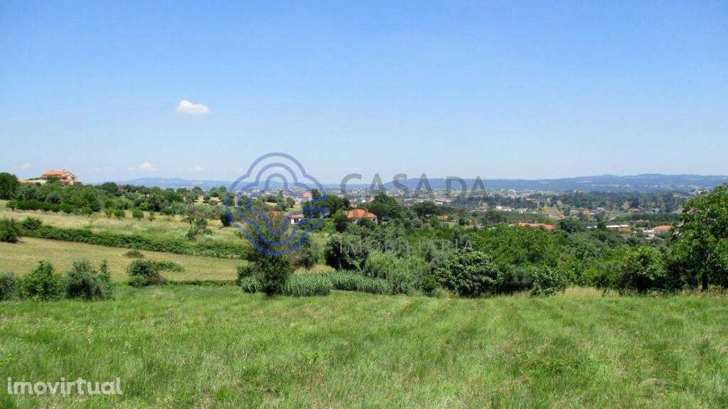 Terreno para construção junto da cidade de Tomar no Centro de Portugal - Grande imagem: 4/16