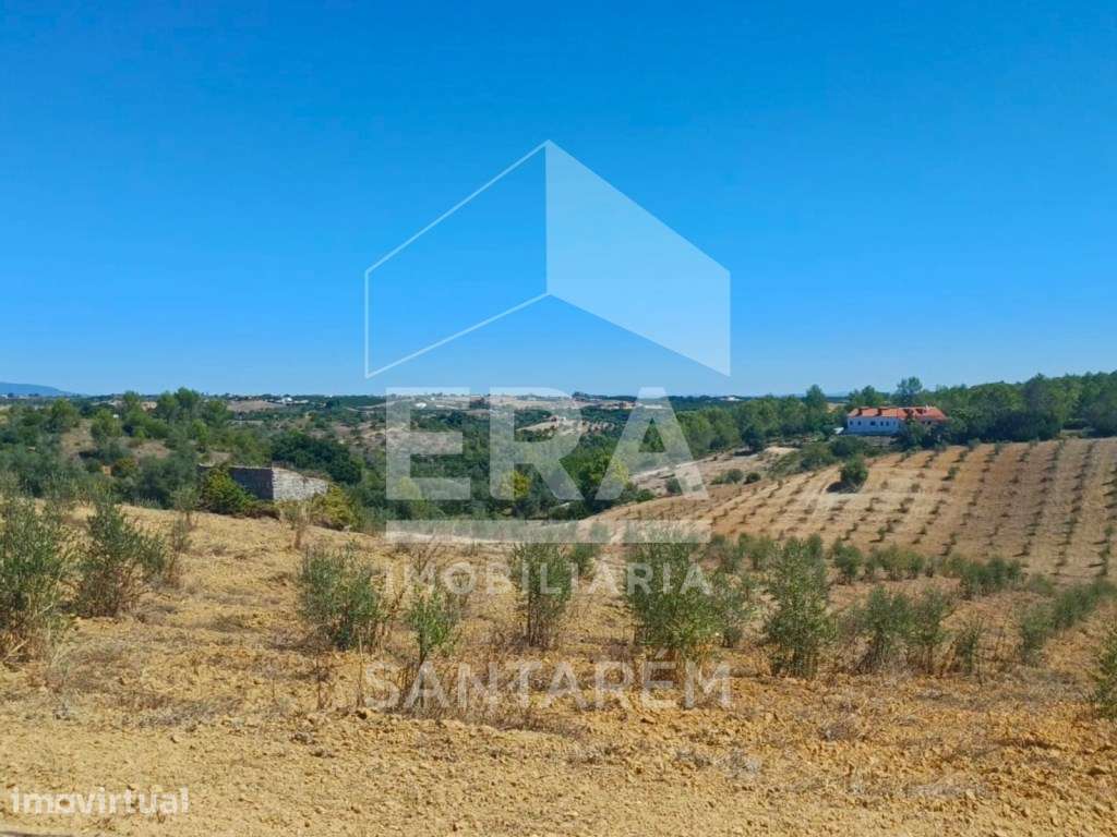 Terreno com excelente viabilidade para construção - Grande imagem: 2/9