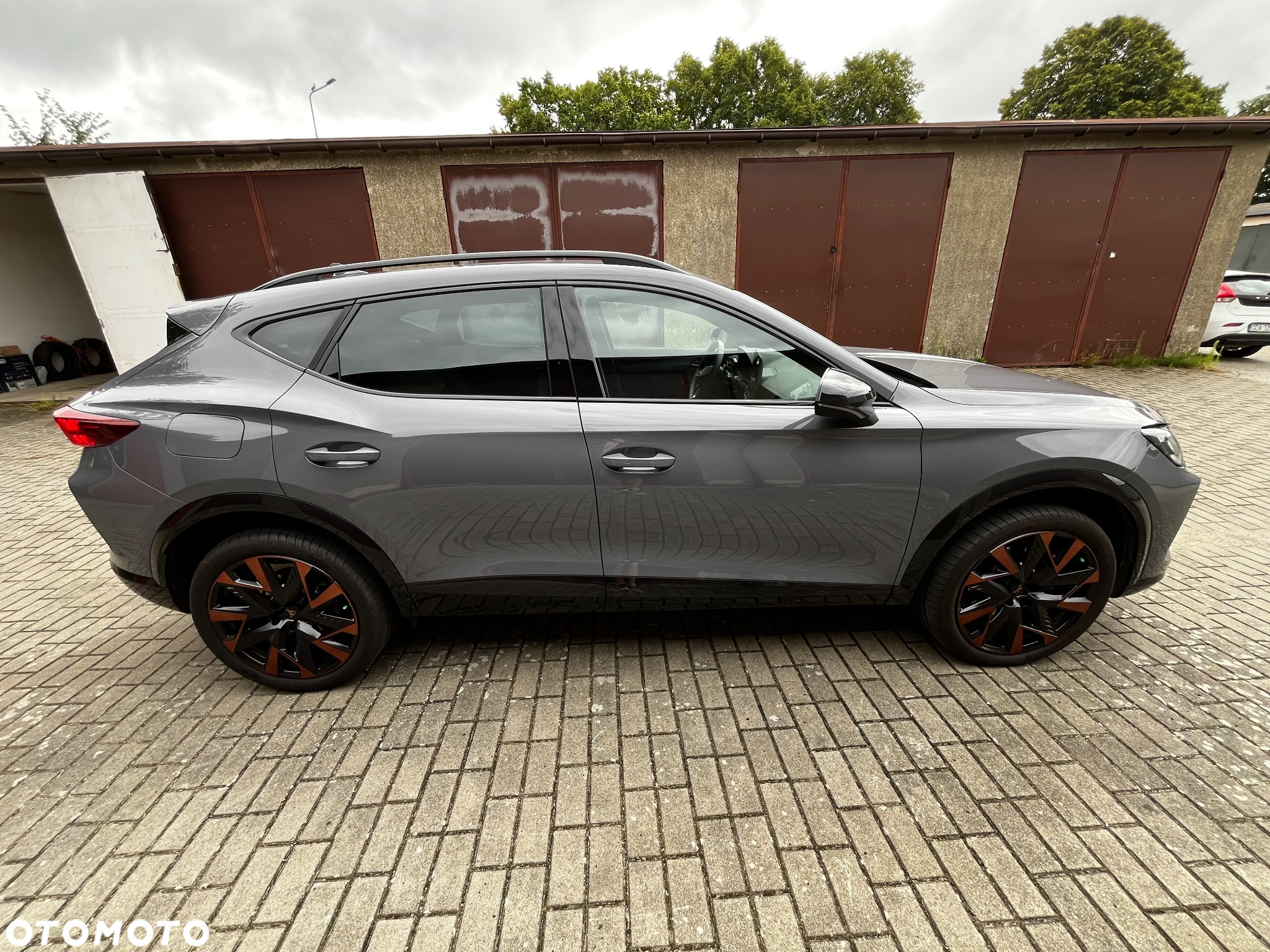 Cupra Formentor 2.0 TDI DSG - 12