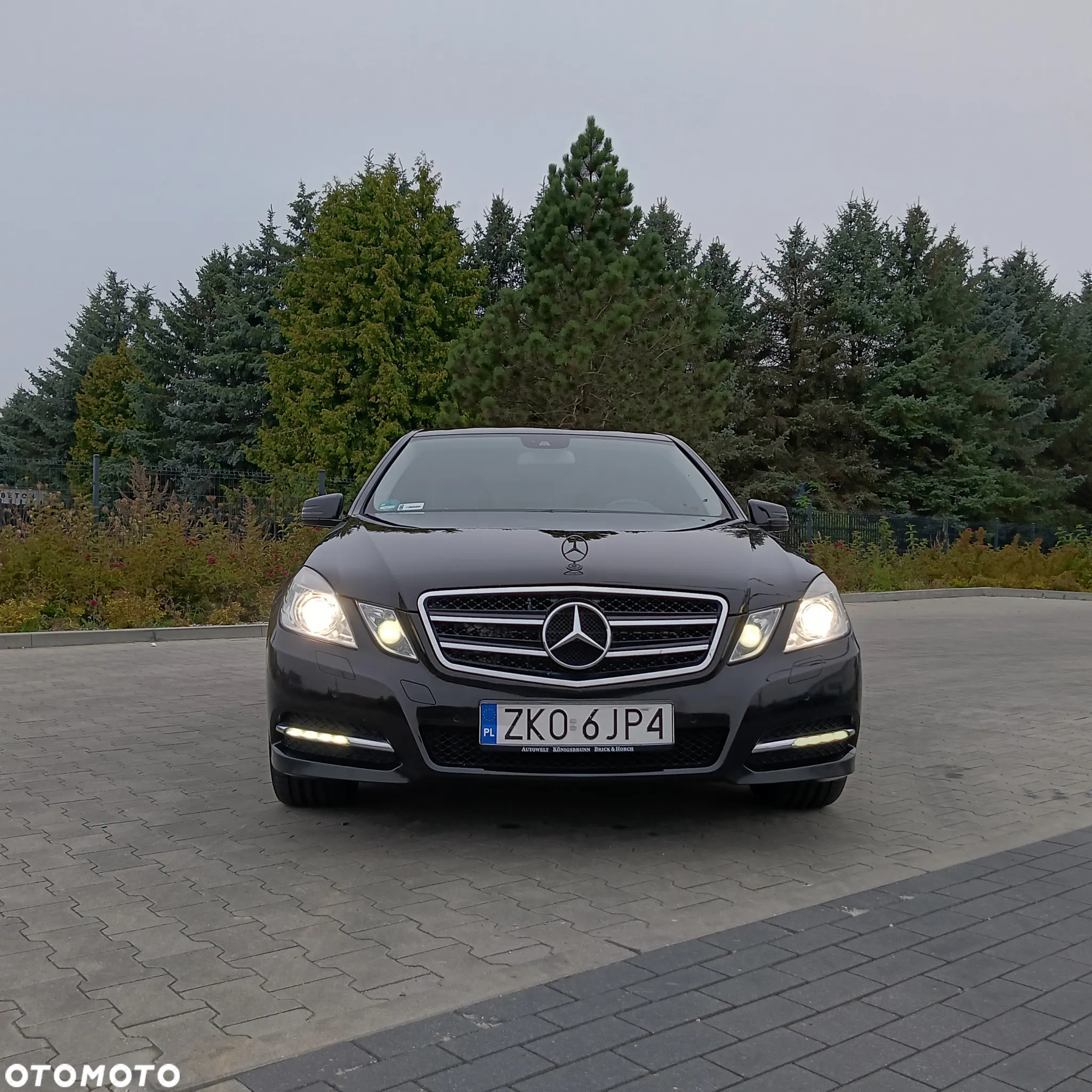 Mercedes-Benz Klasa E 350 CDI BlueEff Avantgarde - 5