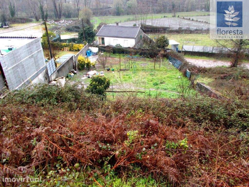 Vende-se Lote p/construção - Lago - Grande imagem: 4/8