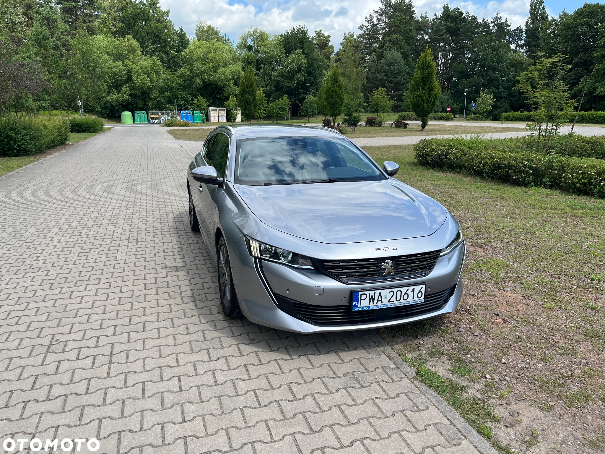 Peugeot 508 1.6 PureTech HYbrid PHEV Allure Pack S&S EAT8 - 12