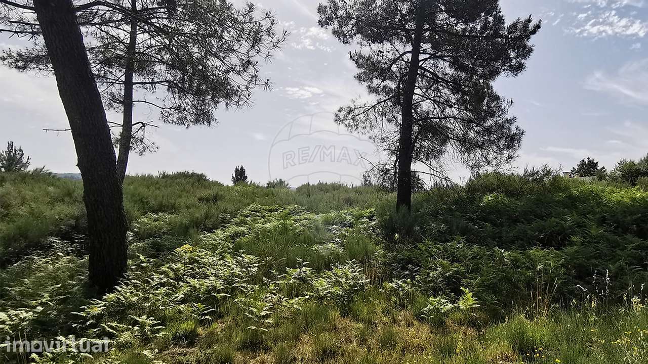 Terreno  para venda - Grande imagem: 4/7