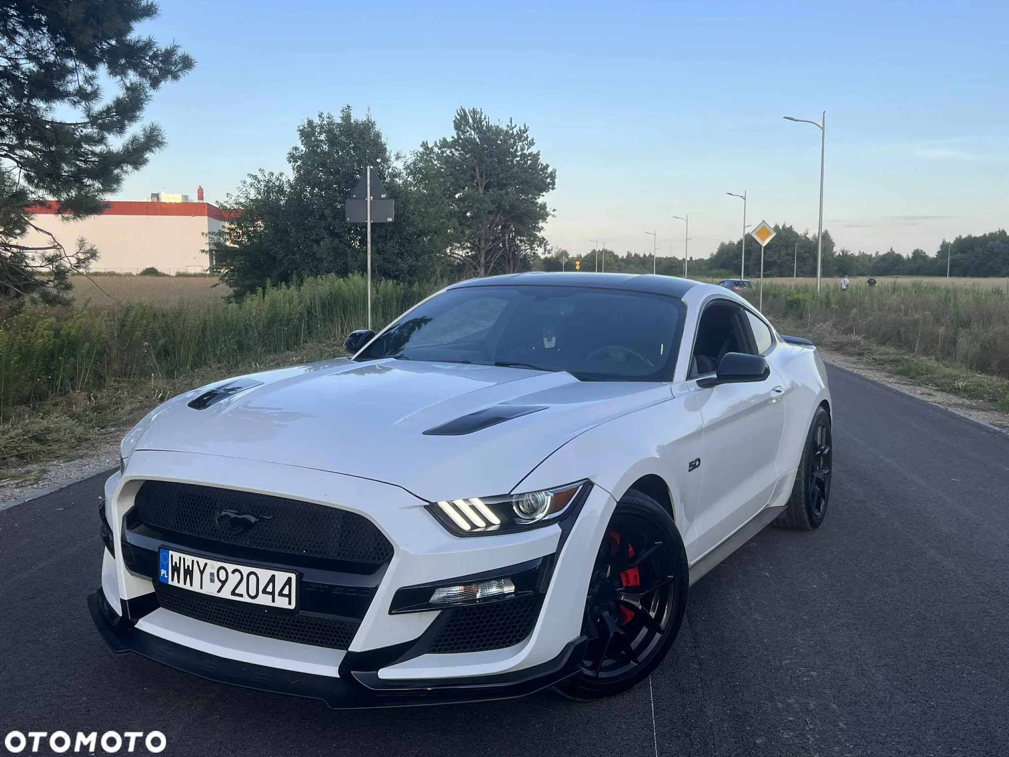 Ford Mustang 5.0 V8 GT - 2