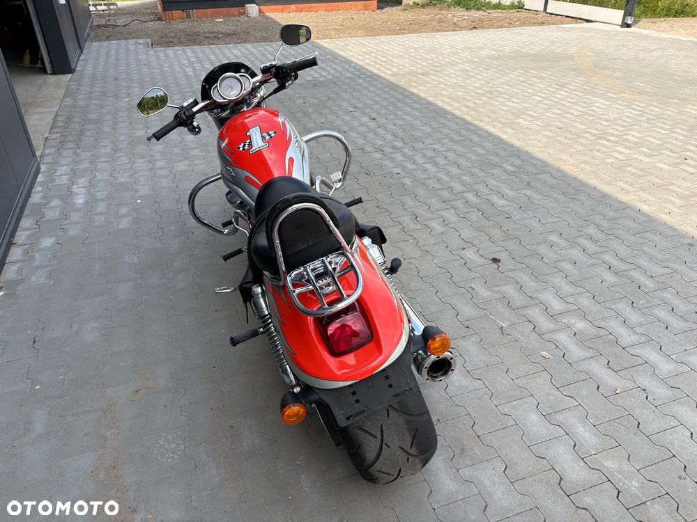 Harley-Davidson Softail V-Rod - 10