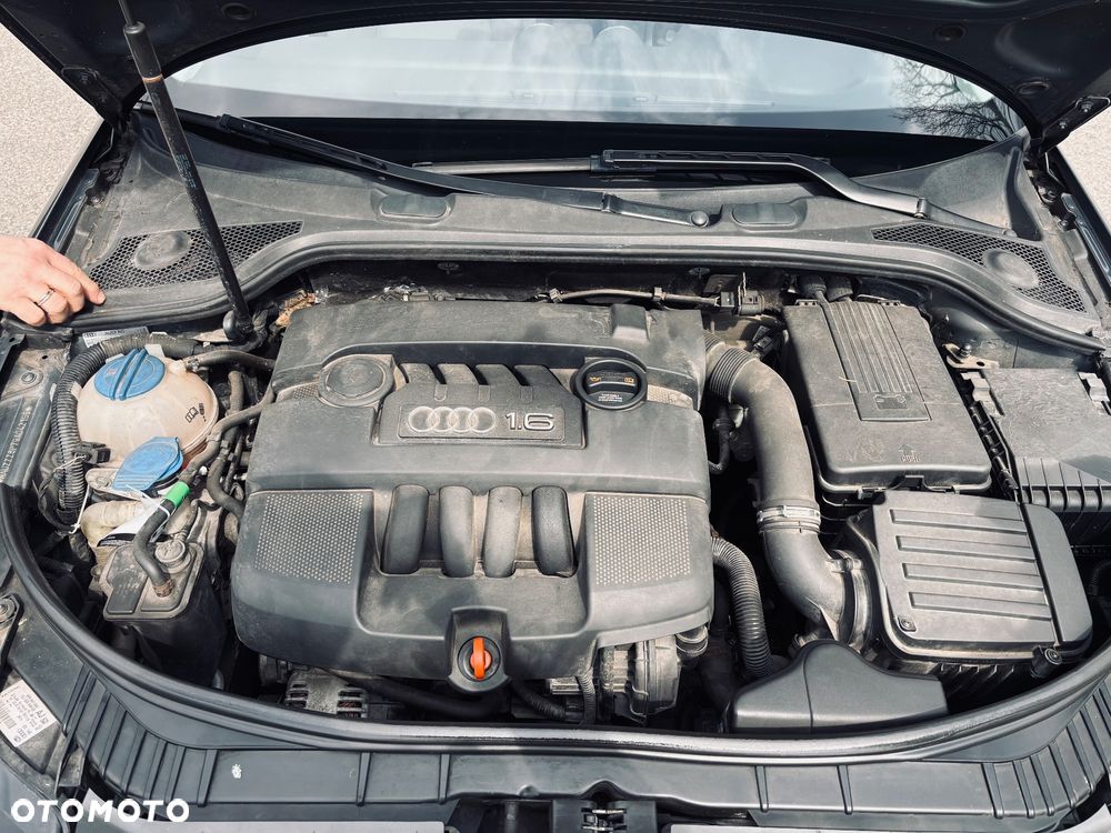 Audi A3 3-drzwiowe - 3