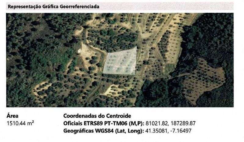 4 terrenos agrícolas - Grande imagem: 3/4