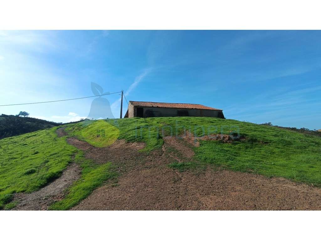 Casa para reconstrução com terreno de 35750m2 - Grande imagem: 4/13