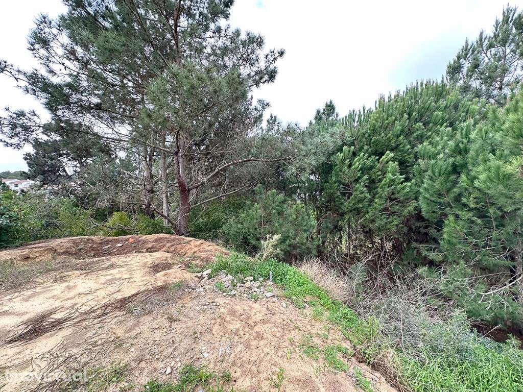 Dois Lotes de Terreno Urbano na Lagoa de Albufeira - Venda Juntos o... - Grande imagem: 5/9