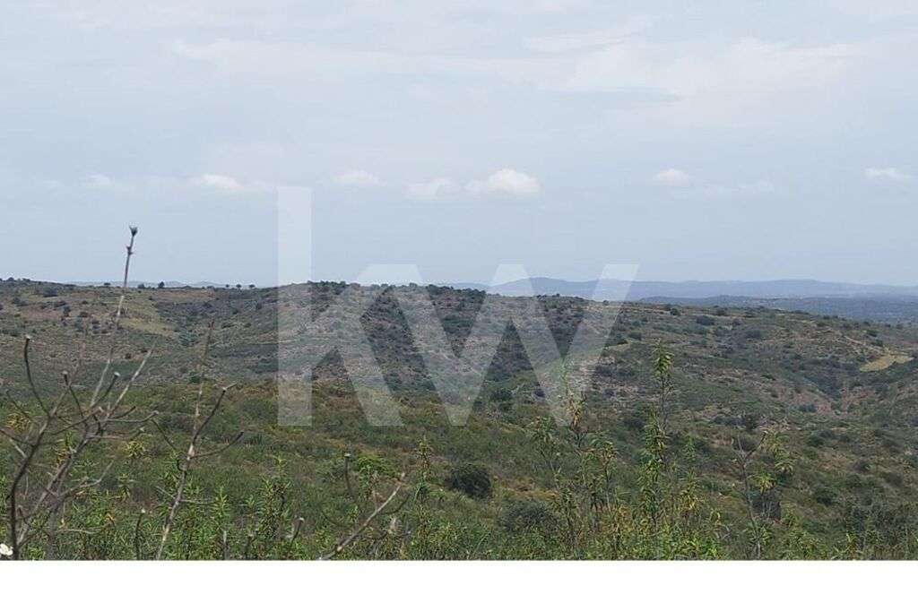 Terreno para venda em Laranjeiras, Alcoutim - Faro - Grande imagem: 4/8