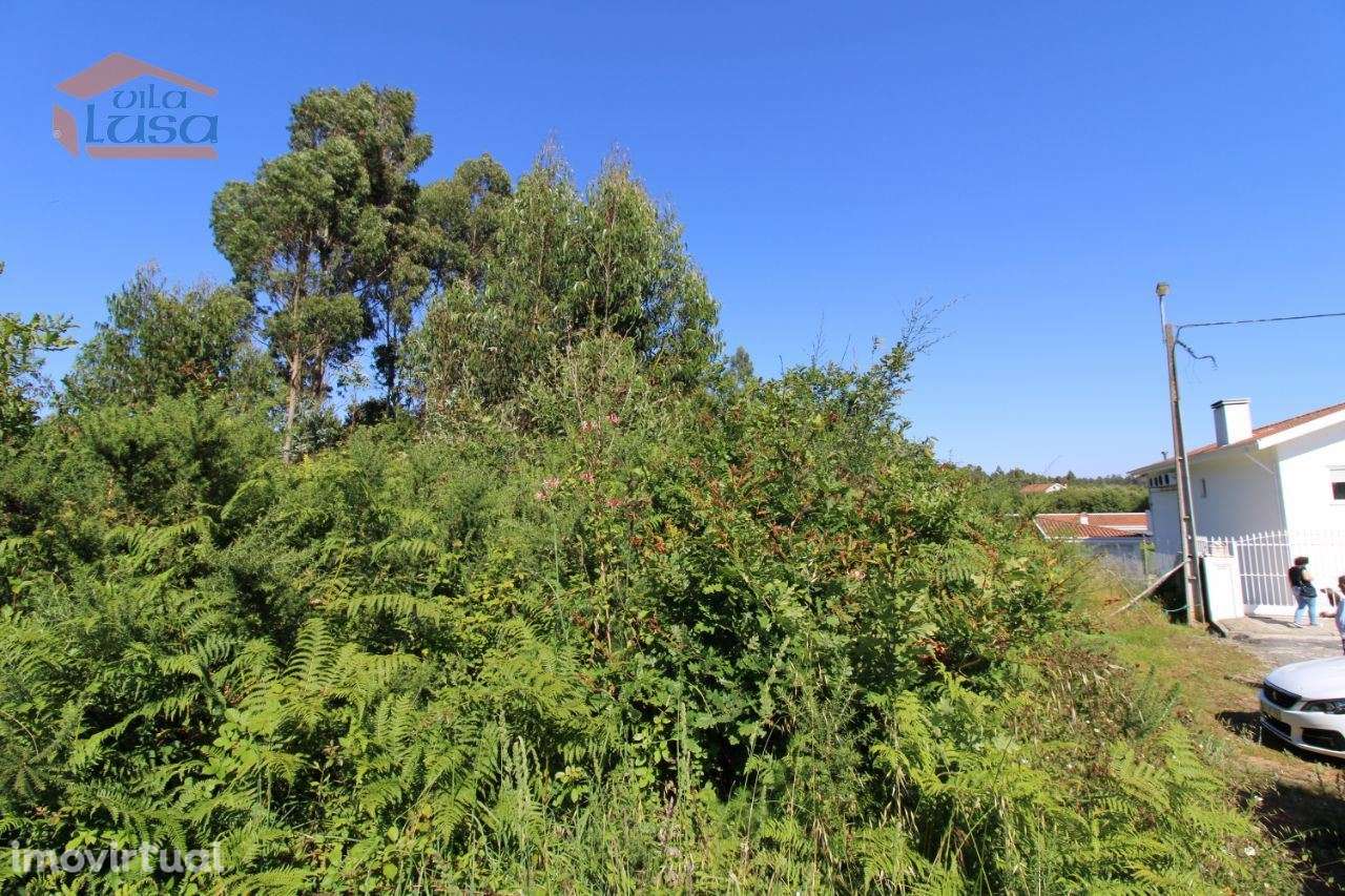 Terreno Industrial com 13.000 m2 para a construção de armazém - Grande imagem: 4/4