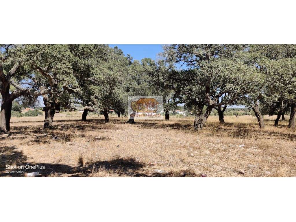 Terreno para loteamento em Grândola - Viver entre a serra e o mar - Grande imagem: 4/9