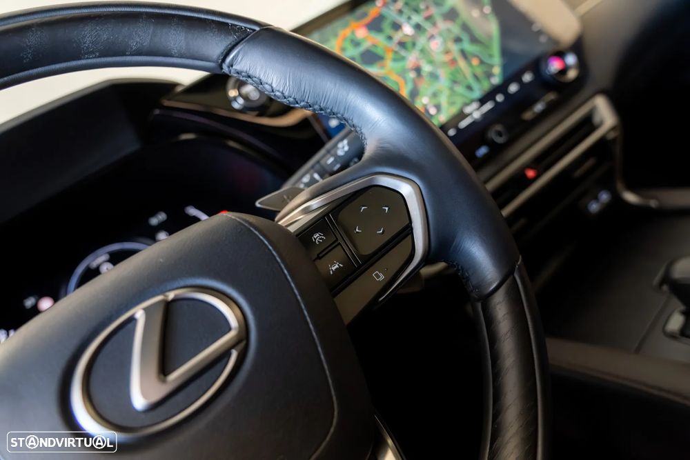 Lexus RX 450h L Executive+ - 18