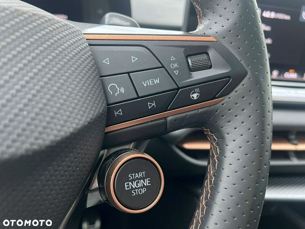 Cupra Terramar - 28