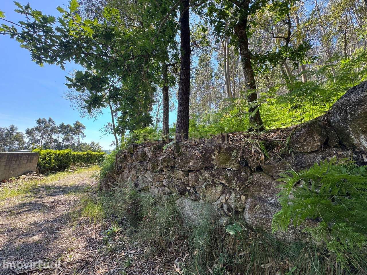 Terreno com 8000m2 em  Vila Cova - Grande imagem: 3/19