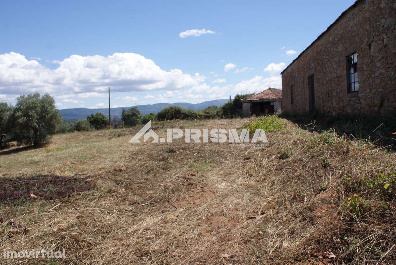 Terreno rústico para venda em Pêro Viseu - Grande imagem: 4/30
