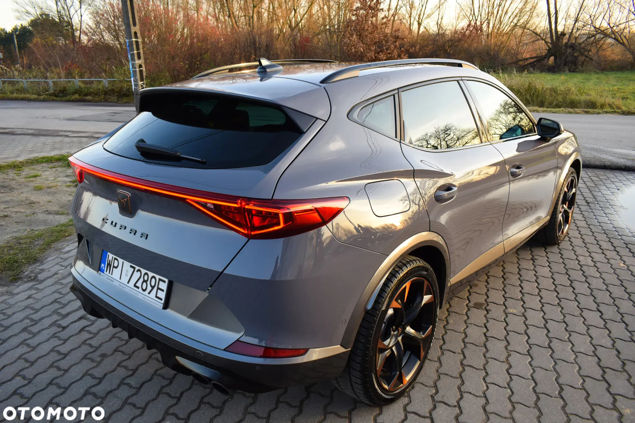 Cupra Formentor - 15