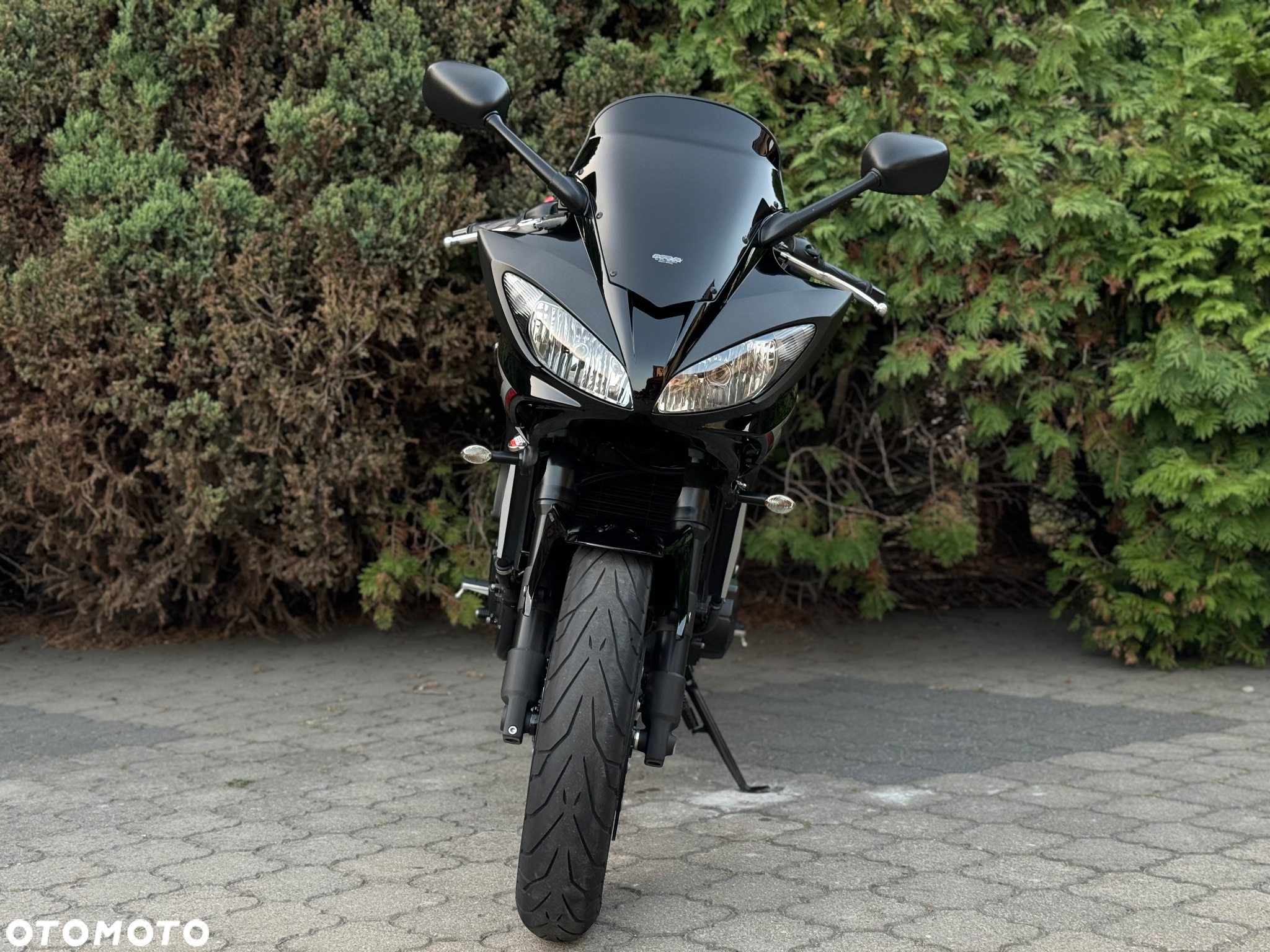 Yamaha FZ - 8