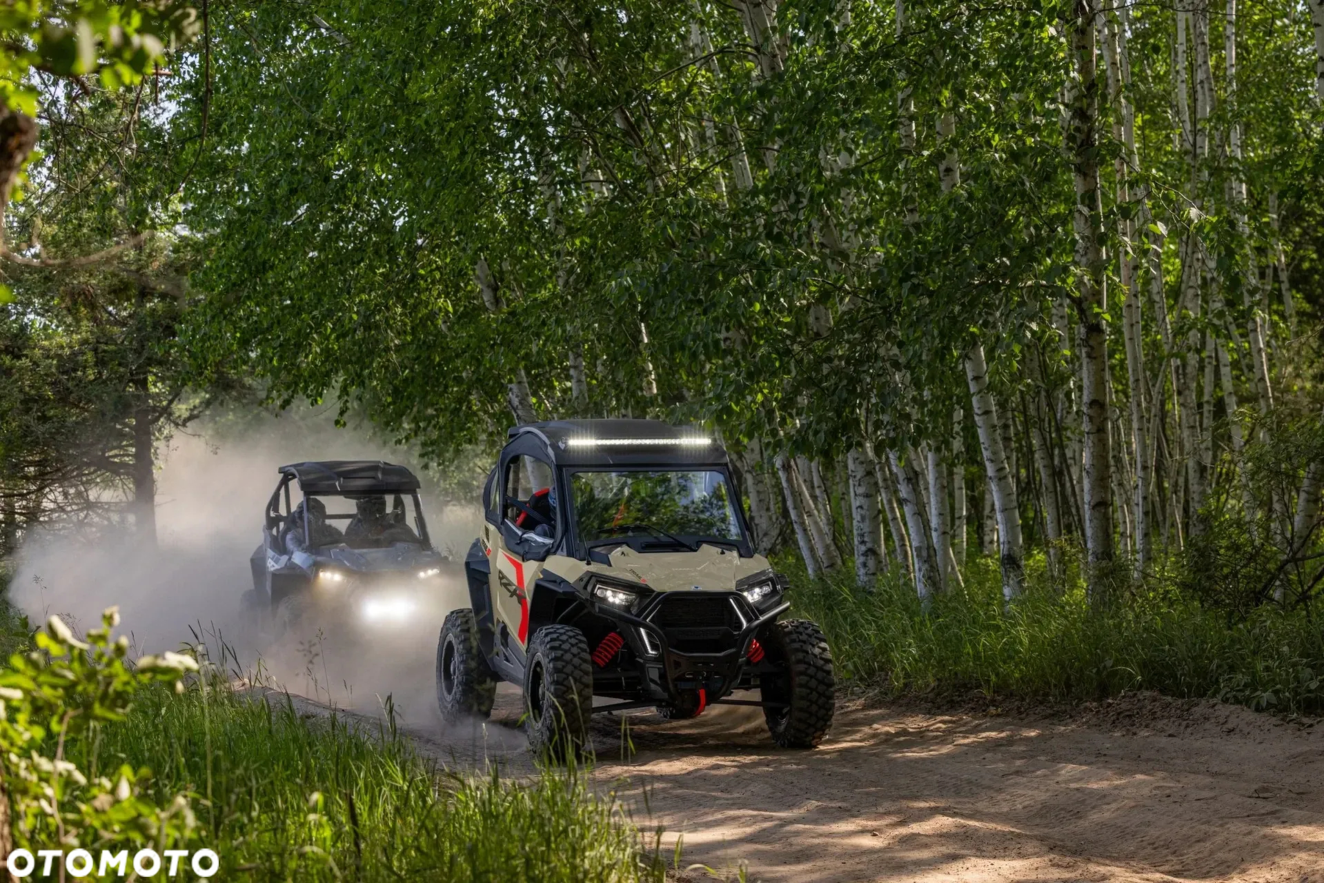 Polaris RZR - 25