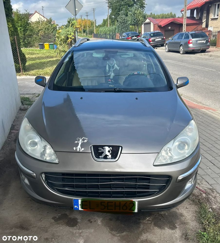 Peugeot 407 - 8