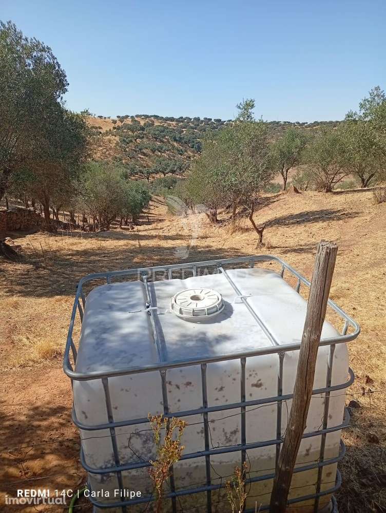 Courela - Grande imagem: 2/12