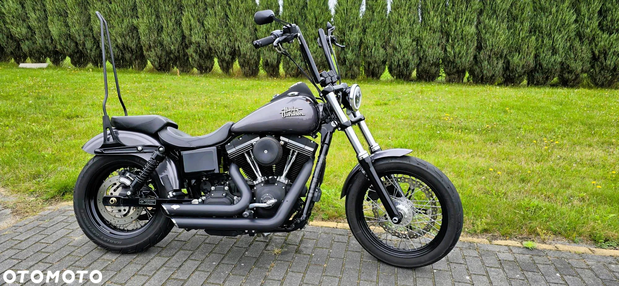 Harley-Davidson Dyna Street Bob - 2