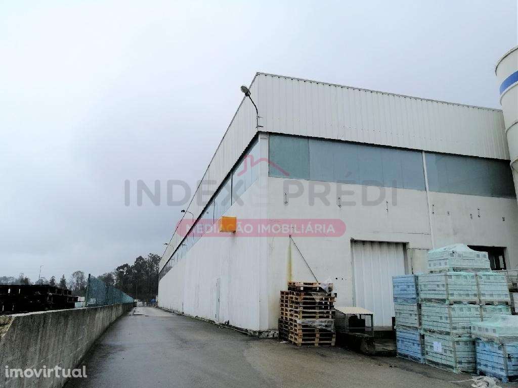 Imóvel encontra-se arrendado. - Vendido com o contrato de arrendame... - Grande imagem: 5/10