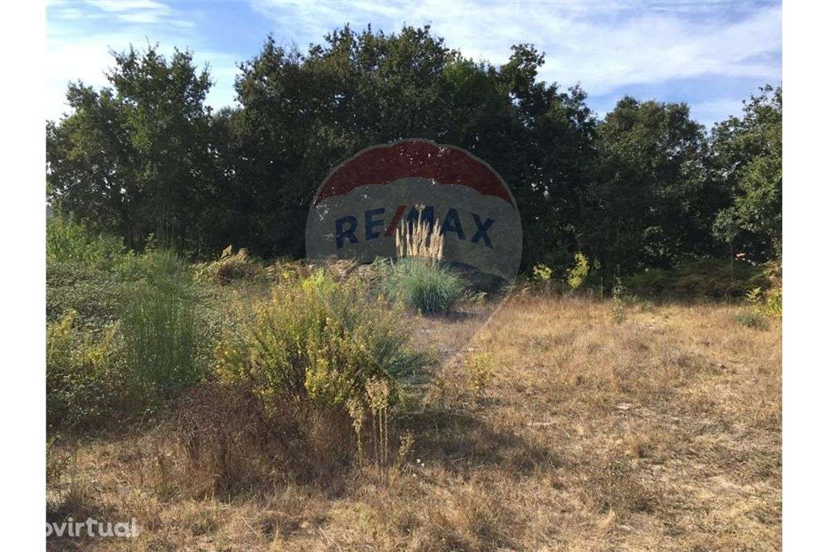 Terreno T0 para Venda - Grande imagem: 5/7