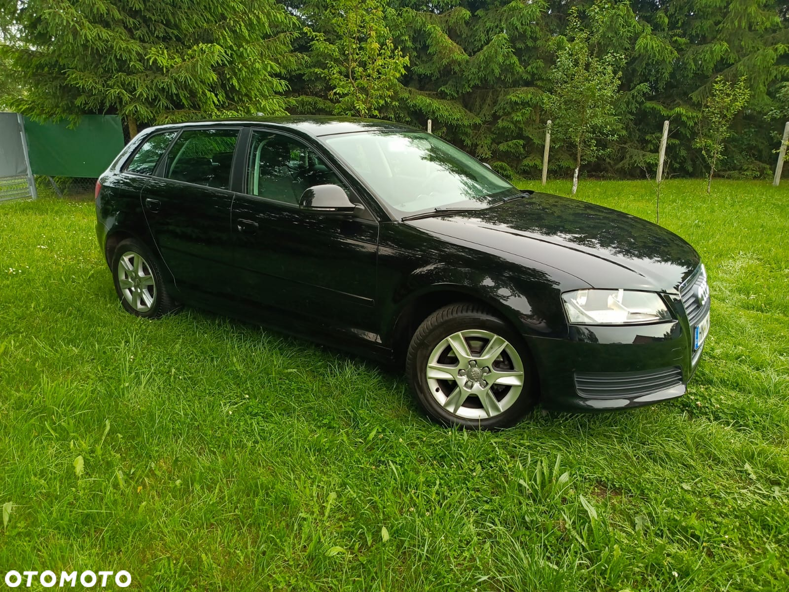 Audi A3 1.6 Sportback Ambition - 11