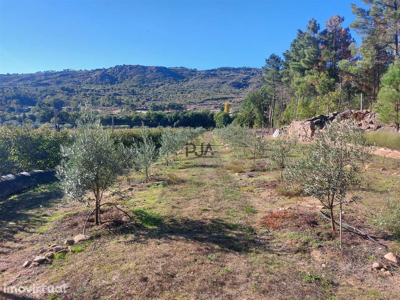 Quinta em Muxagata - Grande imagem: 5/34