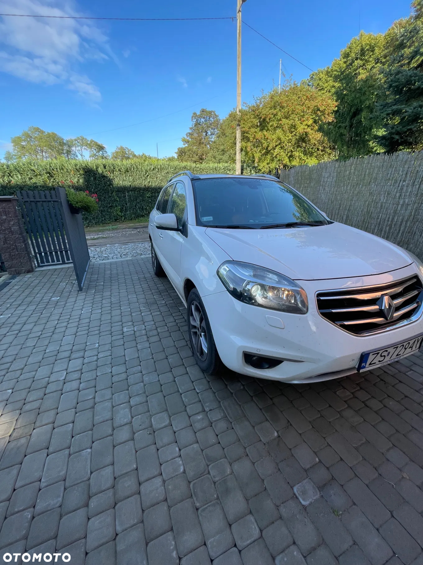 Renault Koleos 2.0 dCi 4x4 Privilege - 2