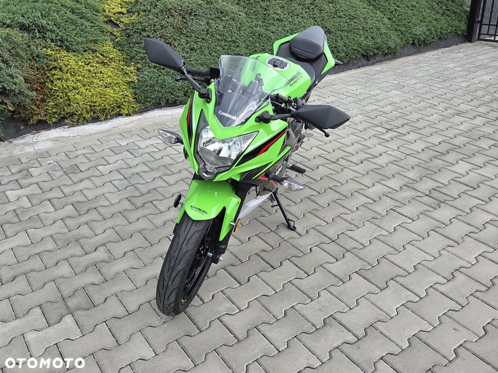 Kawasaki Ninja - 25