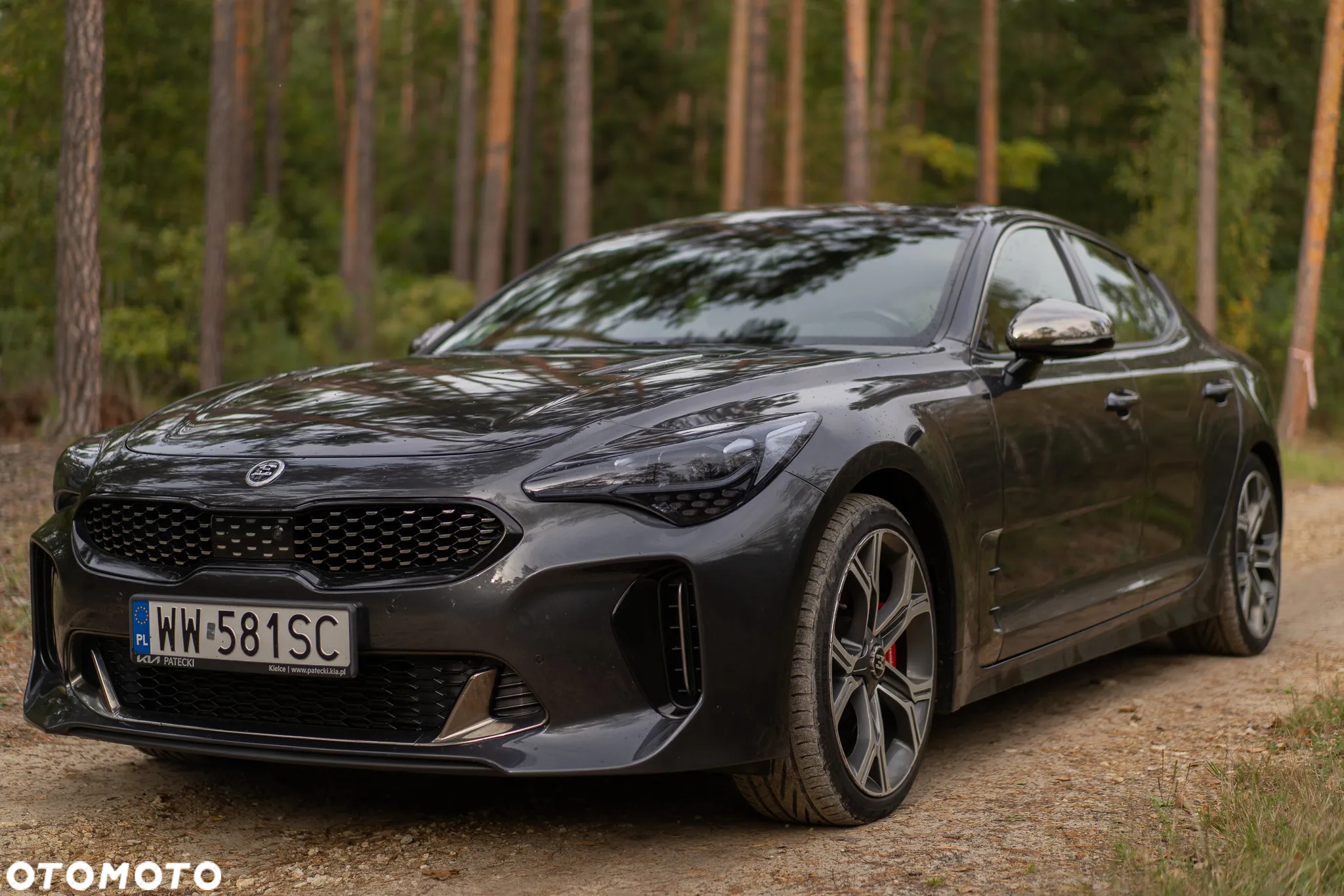 Kia Stinger 3.3 T-GDI V6 GT AWD - 4