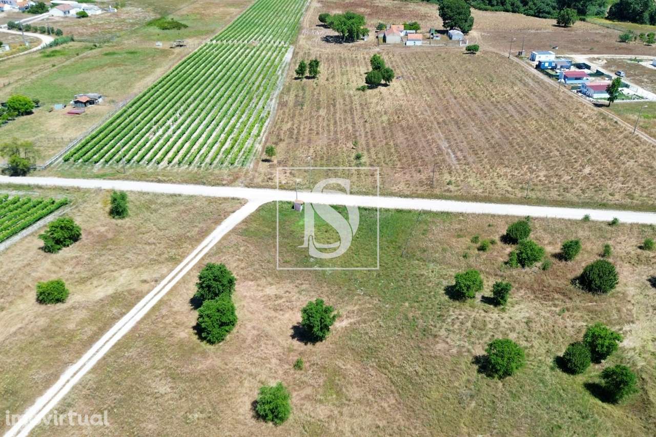 Terreno Rústico com Potencial Agrícola e Residencial na Lagoa do Calvo - Grande imagem: 4/14