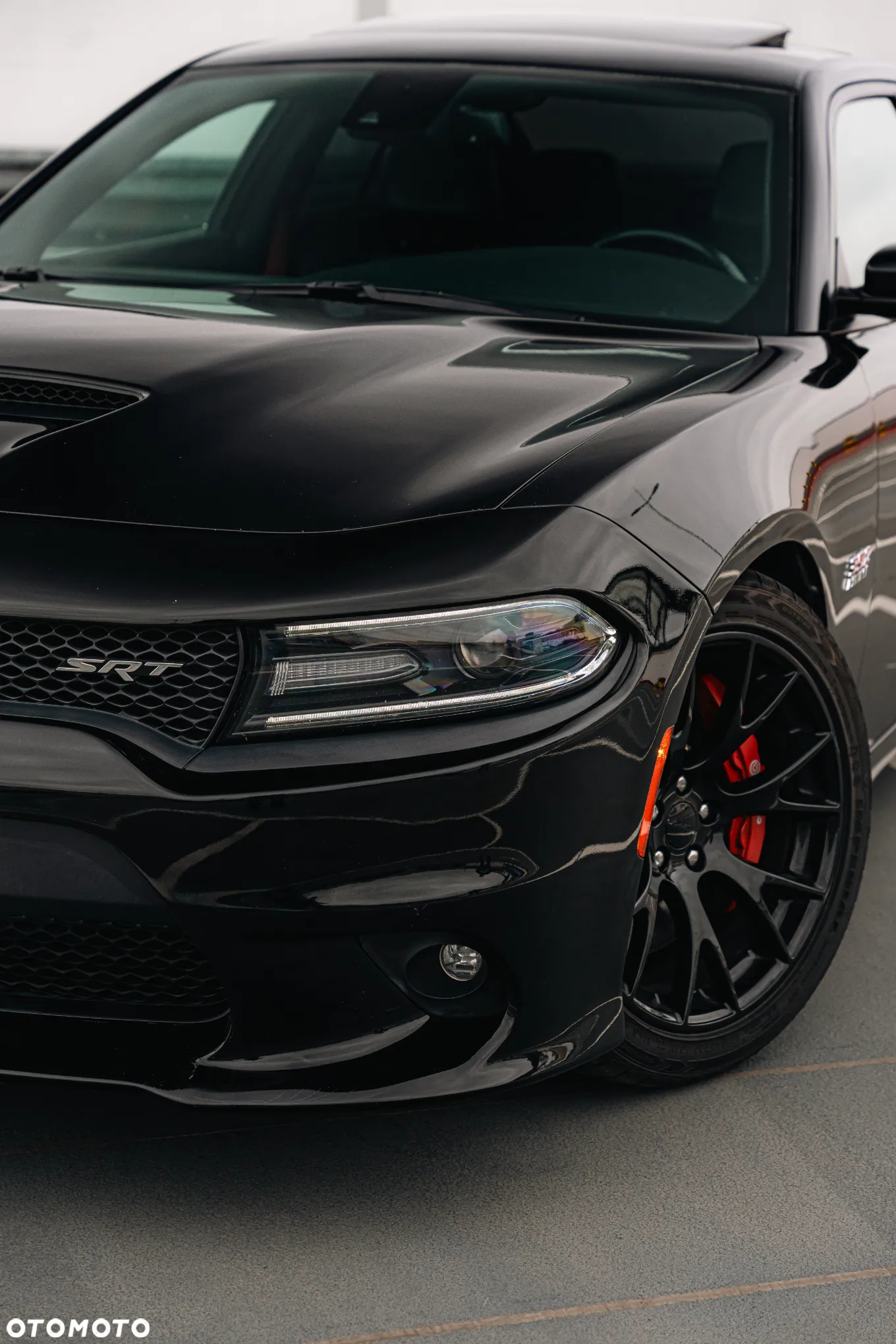 Dodge Charger Automatik SRT 392 - 14
