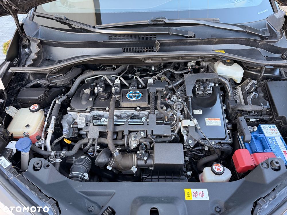 Toyota C-HR - 21