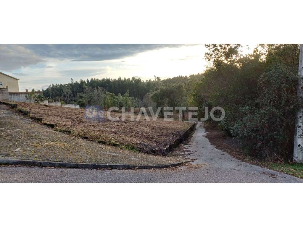 Lote de terreno para construção em zona tranquila em Cernache do Bo... - Grande imagem: 2/11