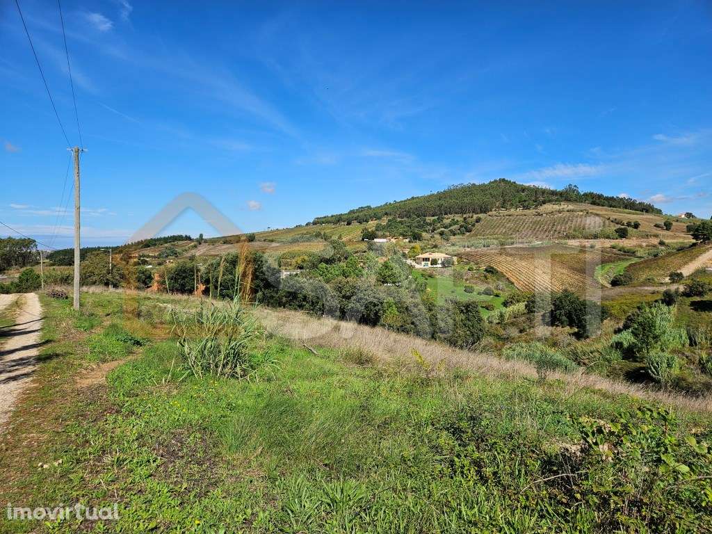 VENDA - TERRENO RÚSTICO - LIVRAMENTO MAFRA - Grande imagem: 5/42