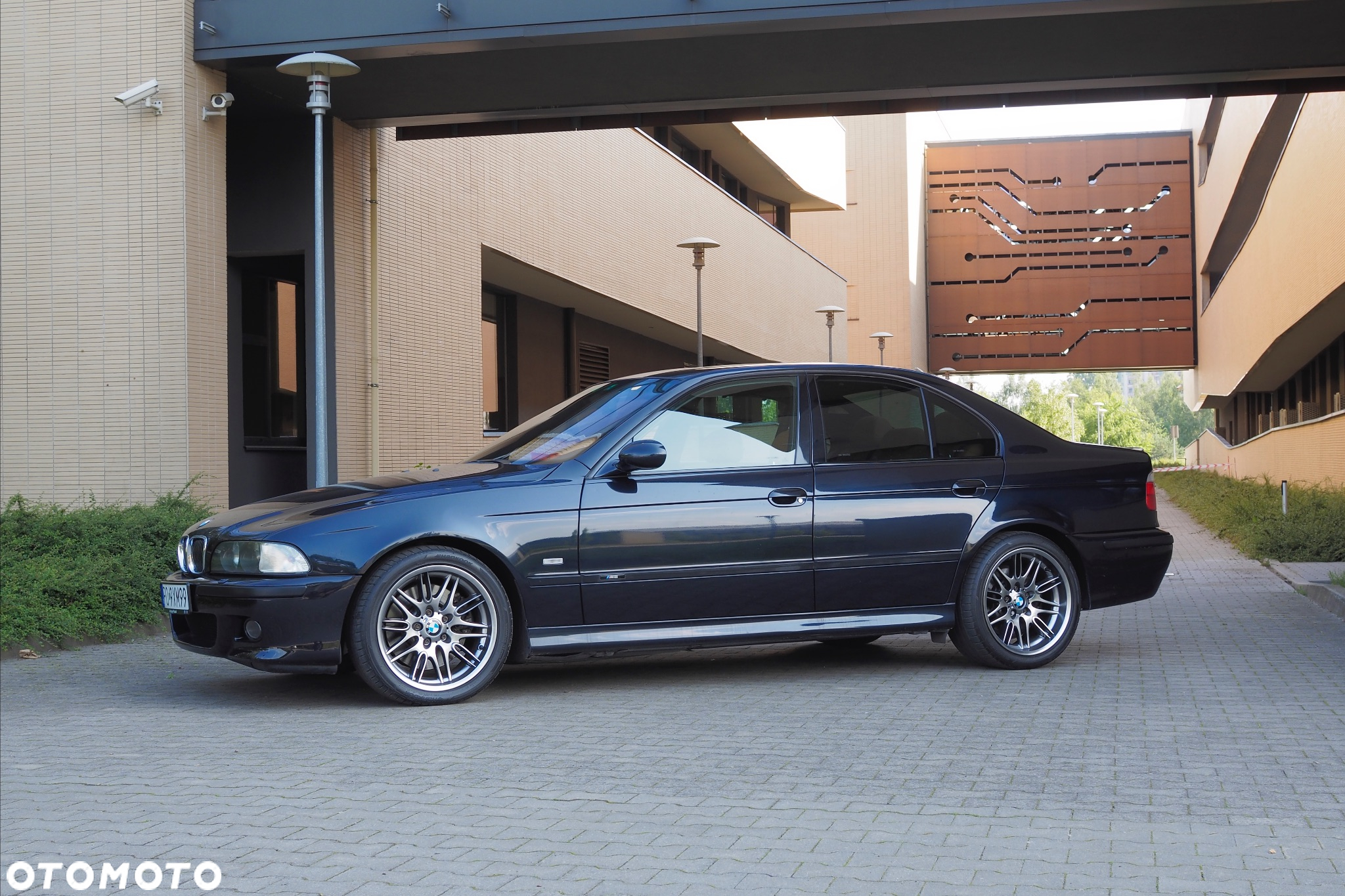 BMW M5 Standard - 2