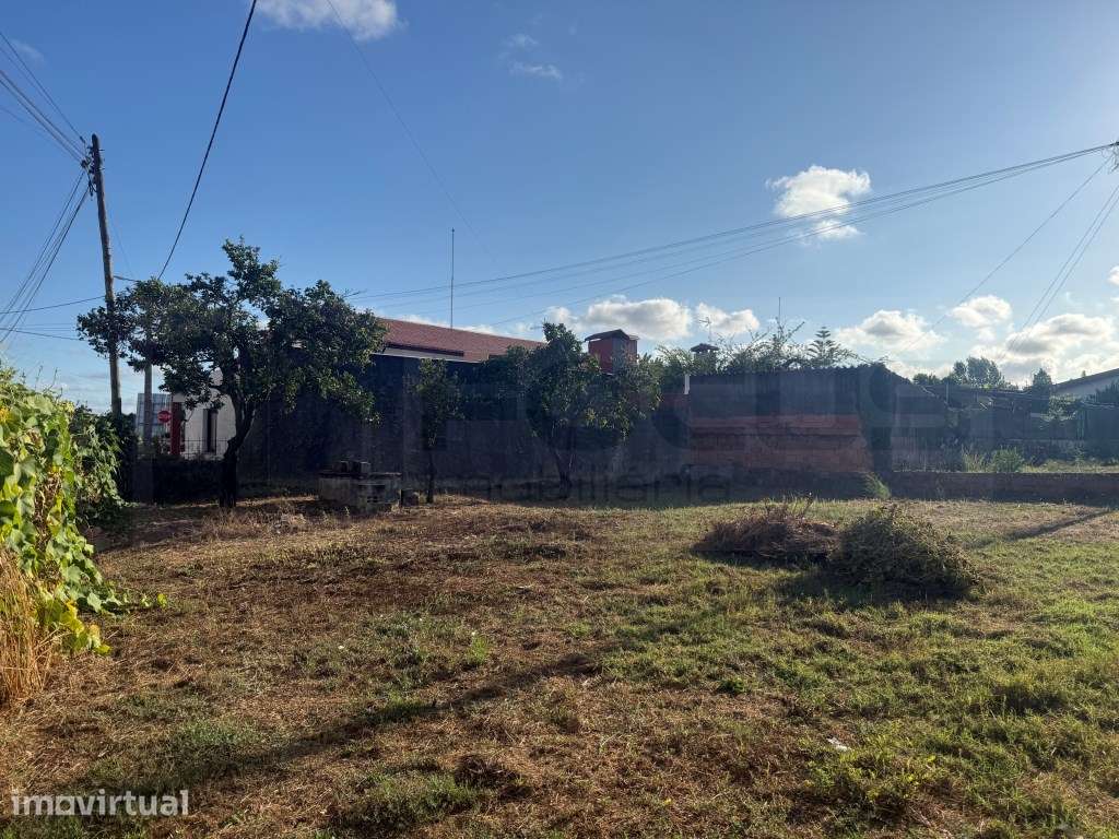 Terreno para construção de Moradia - Troviscal - Grande imagem: 4/10