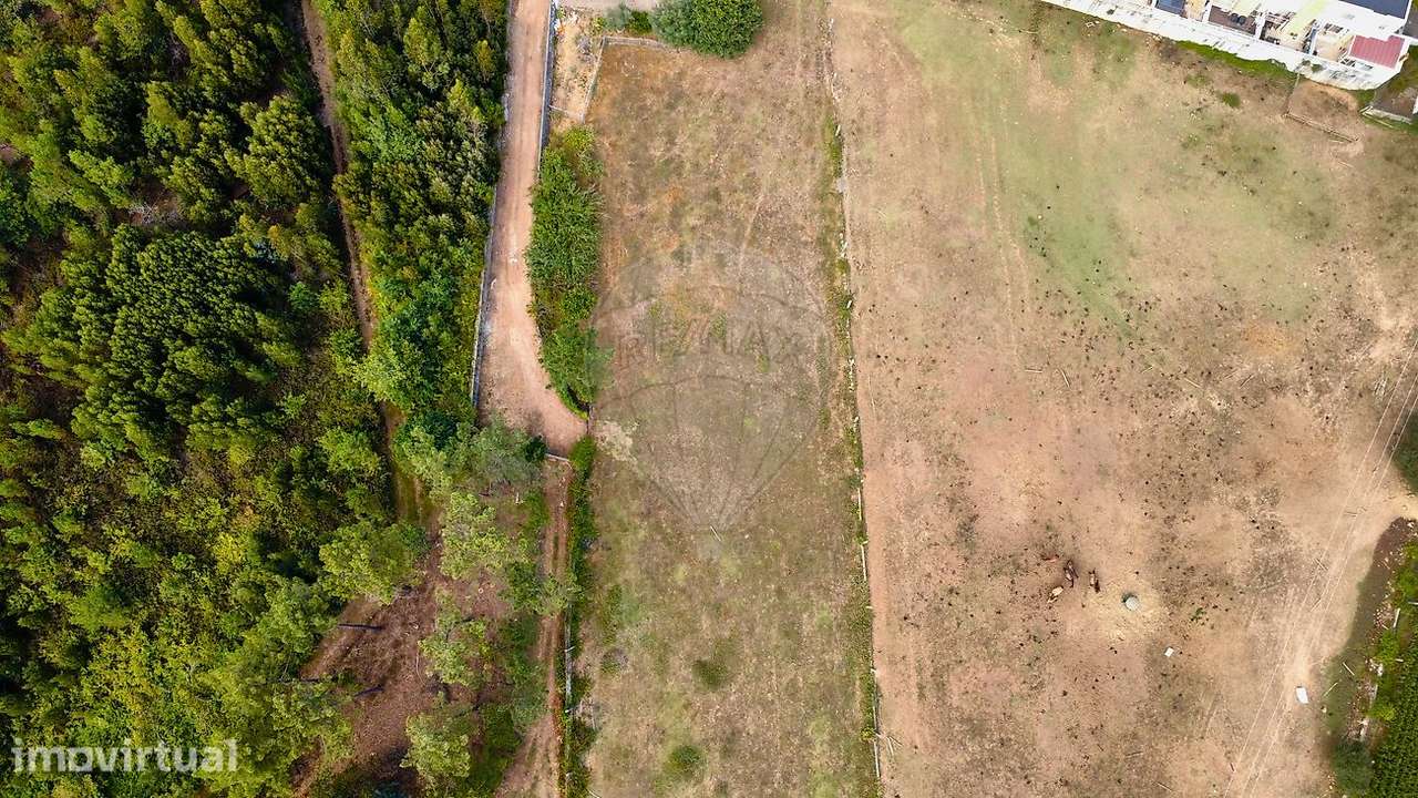 Terreno  para venda - Grande imagem: 4/4