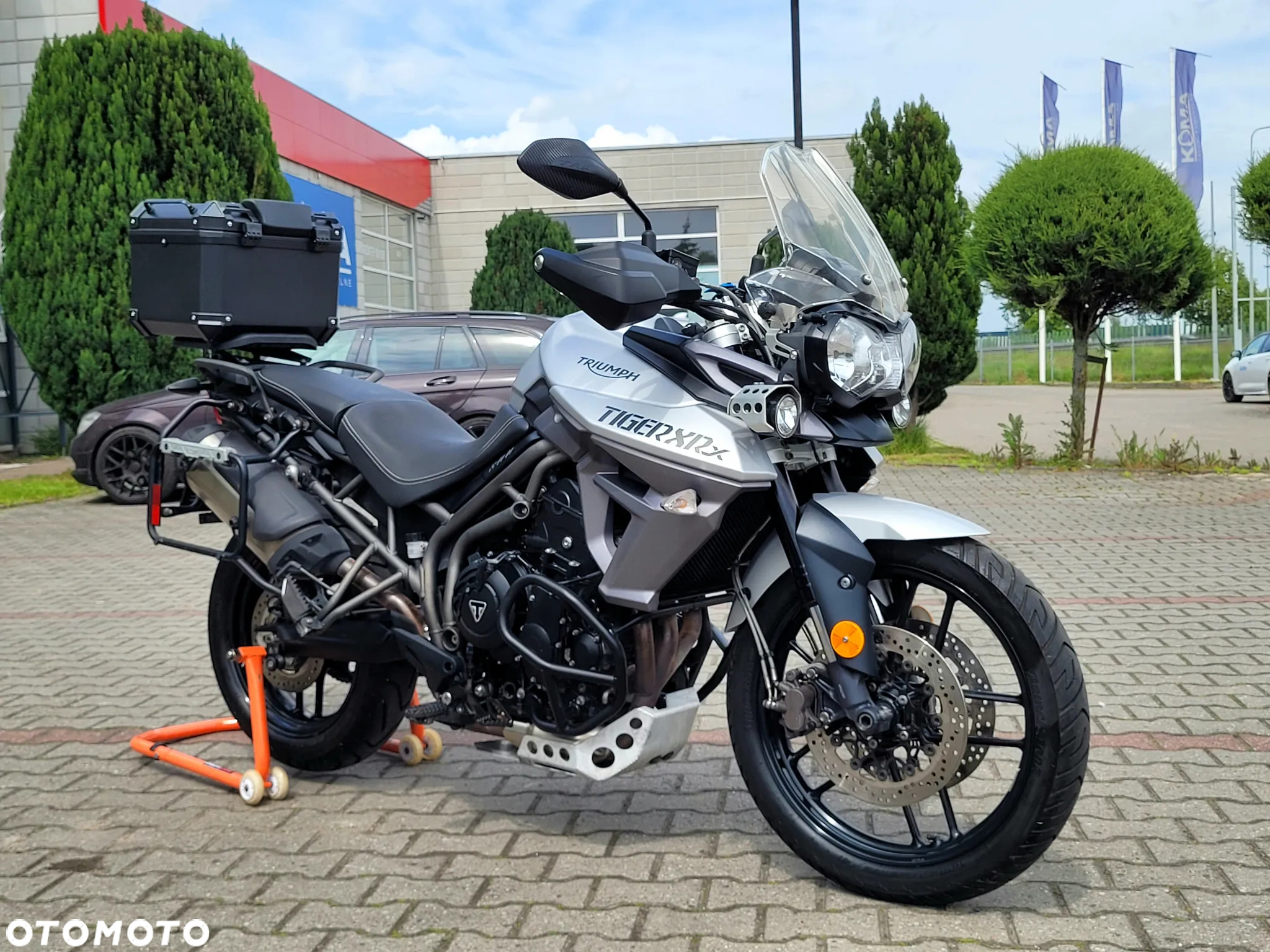 Triumph Tiger - 5