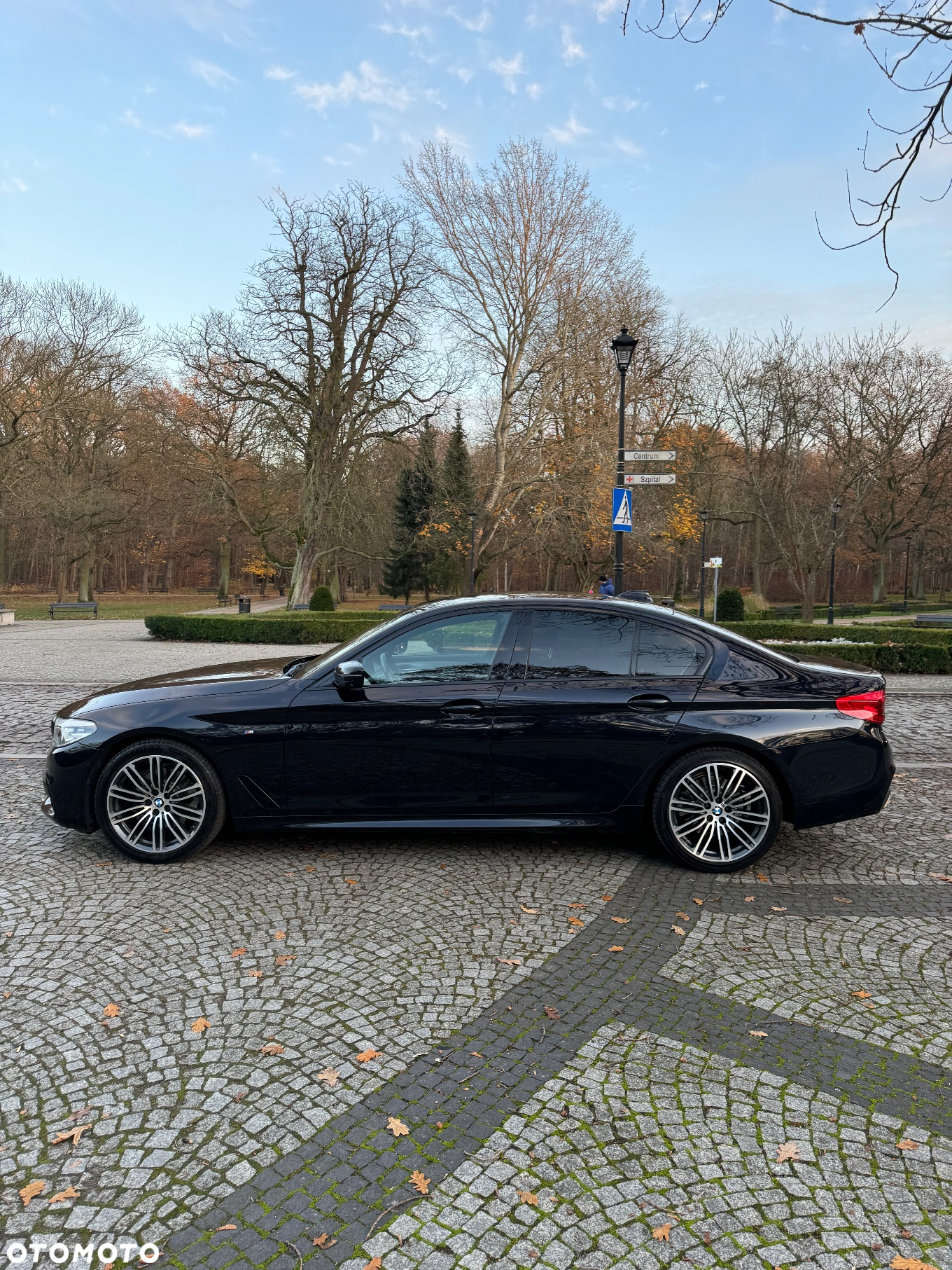 BMW Seria 5 520d Efficient Dynamics M Sport sport - 9