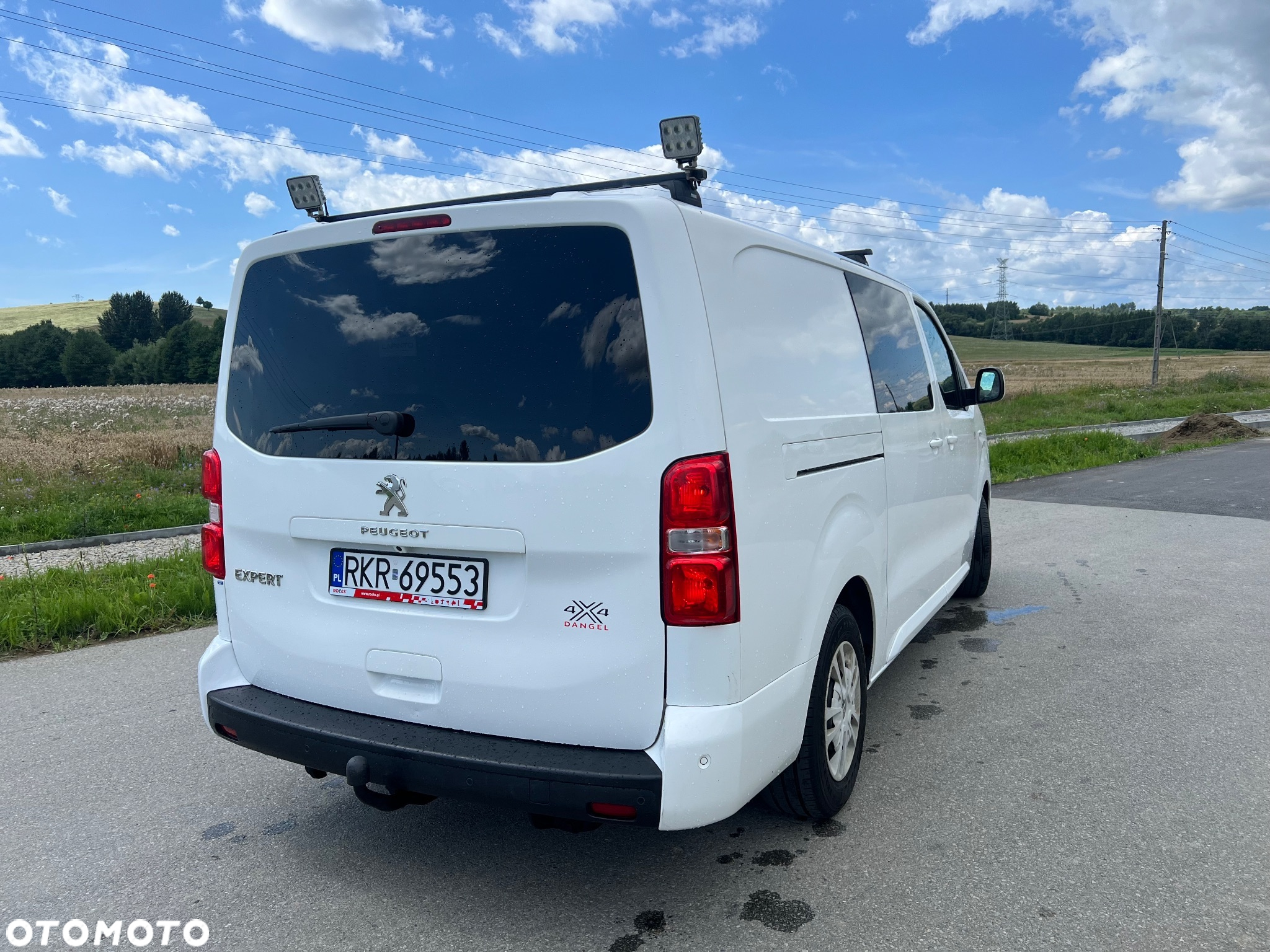 Peugeot EXPERT DANGEL 4x4 - 8