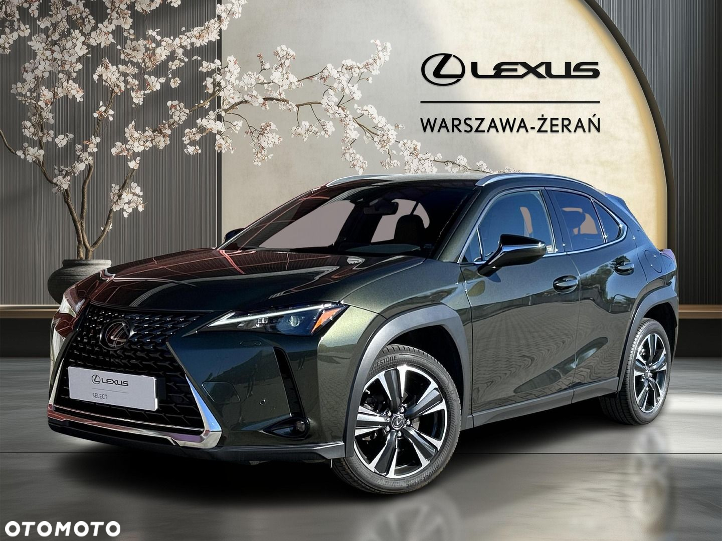 Lexus UX 250h GPF Business 2WD - 2