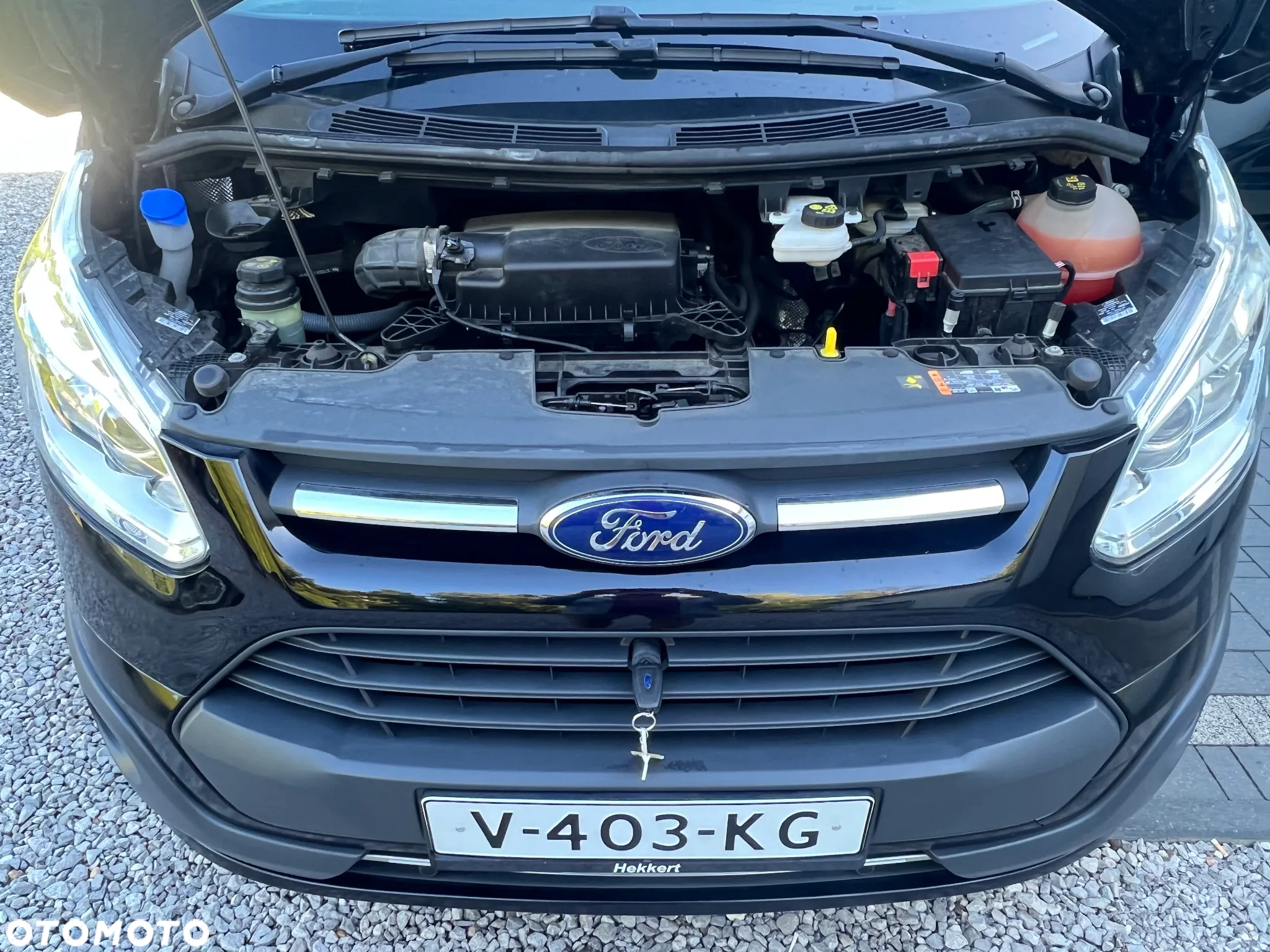 Ford TRANSIT CUSTOM - 2