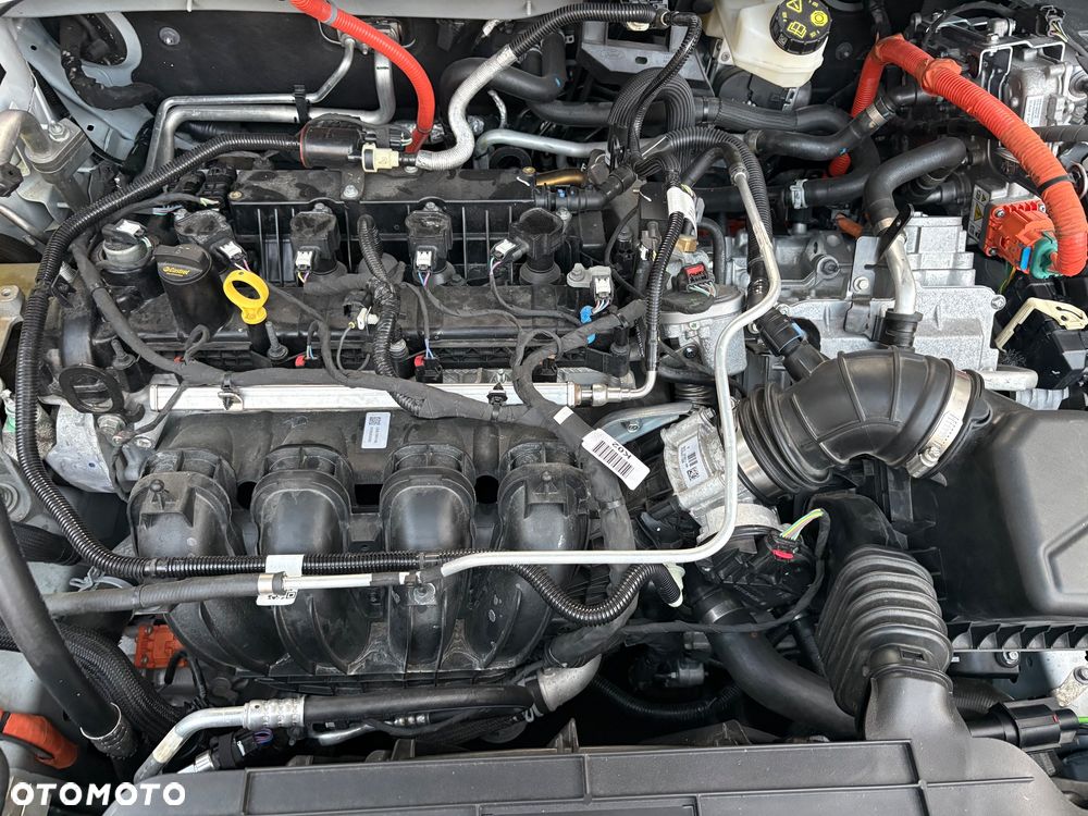 Ford Kuga 2.5 FHEV AWD Active eCVT - 21