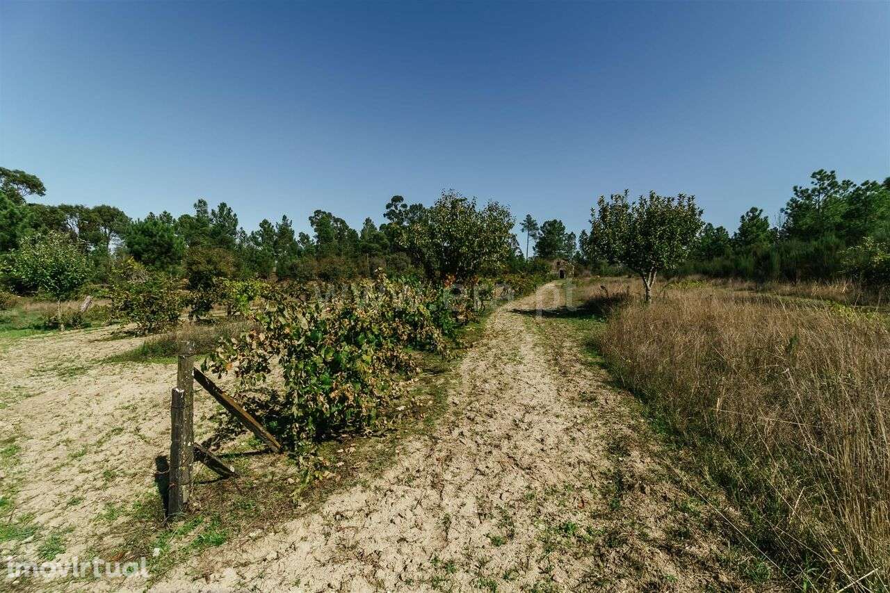 Quintinha / Gouveia, Ribamondego - Grande imagem: 5/12