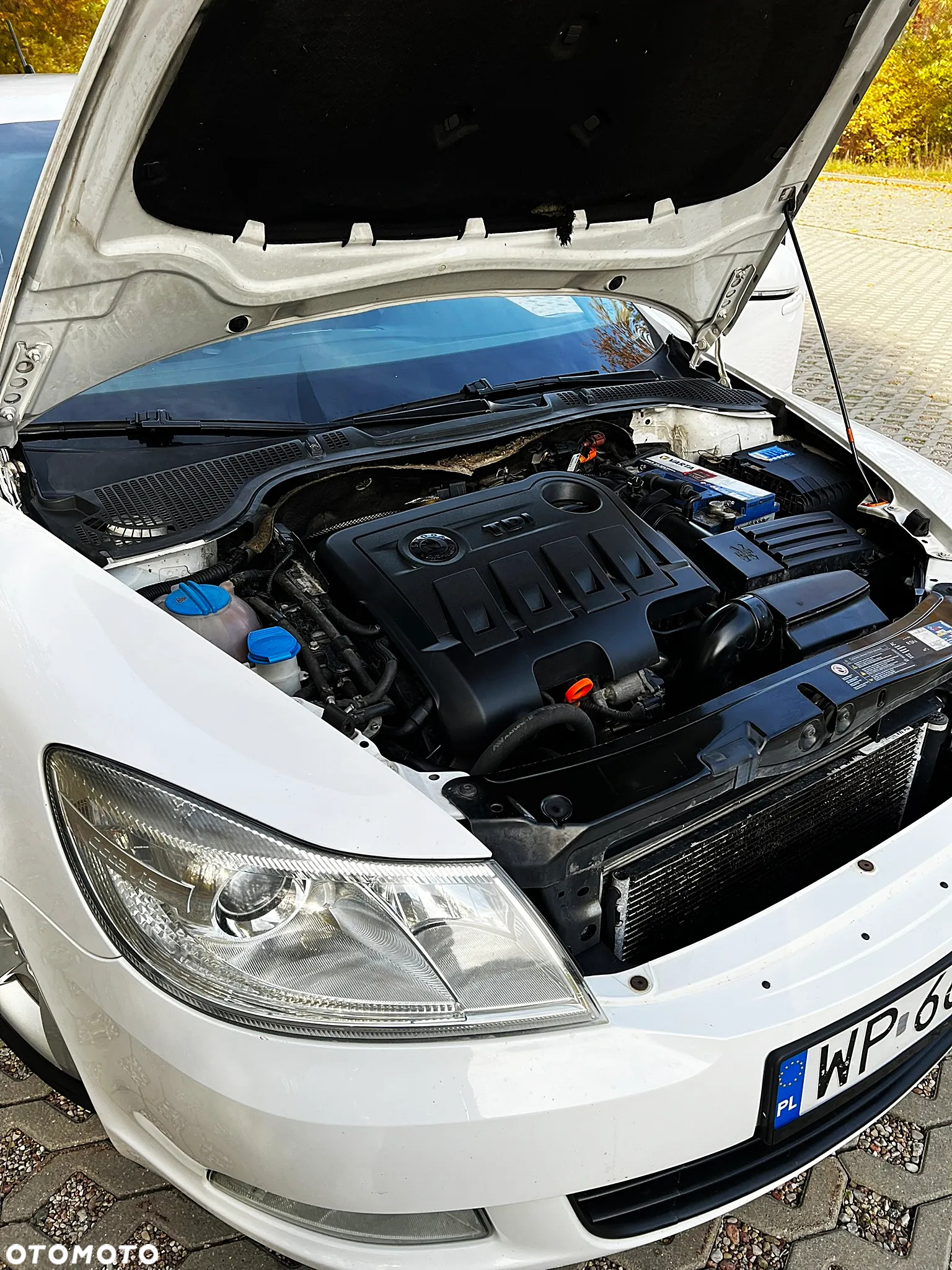 Skoda Octavia 2.0 TDI DPF DSG Elegance - 14