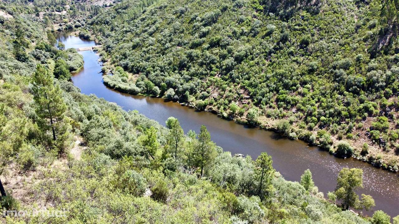 Terreno Rústico  Venda em Sarzedas,Castelo Branco - Grande imagem: 2/8